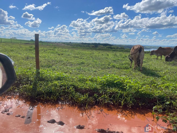 Imagem Imóvel à Venda, 1.355.200 m² em Centro - Uberlândia Imagem Imóvel à Venda, 1.355.200 m² em Centro - Uberlândia