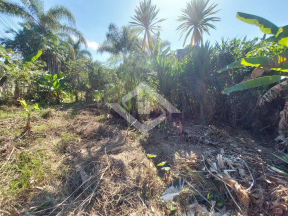Imagem Ponto Comercial à Venda, 3.600 m² em Guaratiba - Rio De Janeiro Imagem Ponto Comercial à Venda, 3.600 m² em Guaratiba - Rio De Janeiro