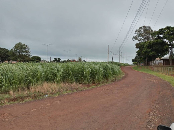 Terreno à Venda,  em Arapongas