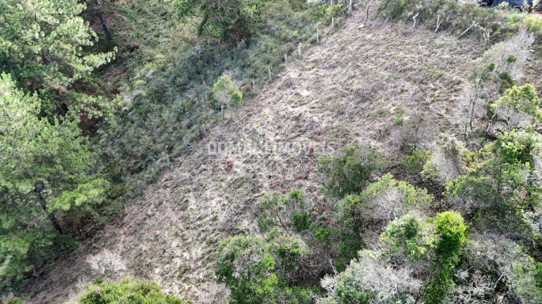 Imagem Terreno à Venda, 1.245 m² em Região Do Atalaia - Campos Do Jordão Imagem Terreno à Venda, 1.245 m² em Região Do Atalaia - Campos Do Jordão