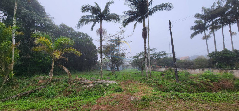 Imagem Terreno à Venda, 80 m² em Praia Do Erwino - São Francisco Do Sul Imagem Terreno à Venda, 80 m² em Praia Do Erwino - São Francisco Do Sul
