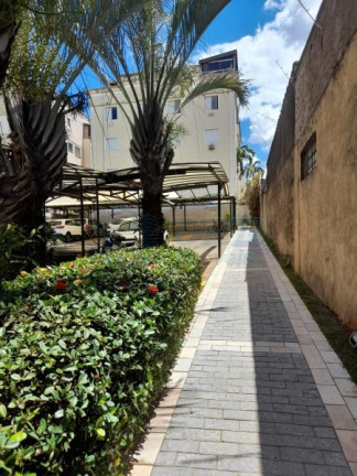 Imagem Apartamento para Alugar,  em Jardim Paulistano - Ribeirão Preto
