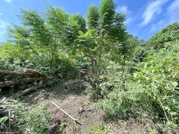 Imagem Terreno à Venda, 907 m² em Vila Santo Antônio - Cotia Imagem Terreno à Venda, 907 m² em Vila Santo Antônio - Cotia
