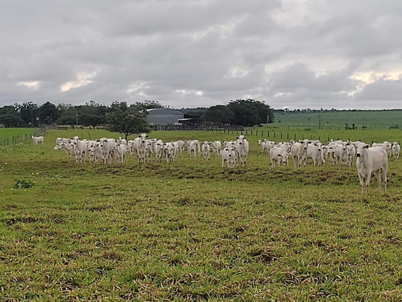 Imóvel à Venda,  em Bahia - Bahia
