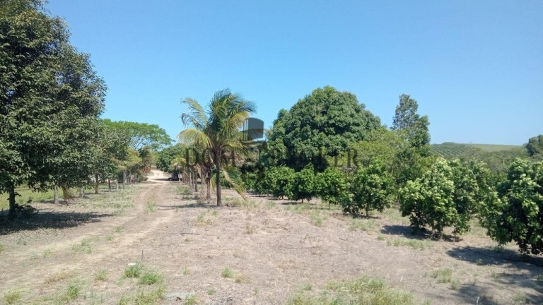Imagem Fazenda à Venda, 555.000 m² em Sao Vicente - Araruama Imagem Fazenda à Venda, 555.000 m² em Sao Vicente - Araruama