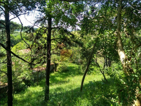 Imagem Terreno à Venda, 12.000 m² em Chácara Jaraguá - São Paulo Imagem Terreno à Venda, 12.000 m² em Chácara Jaraguá - São Paulo