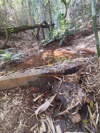 Imagem Terreno à Venda, 20.000 m² em Piedade Do Paraopeba - Brumadinho Imagem Terreno à Venda, 20.000 m² em Piedade Do Paraopeba - Brumadinho