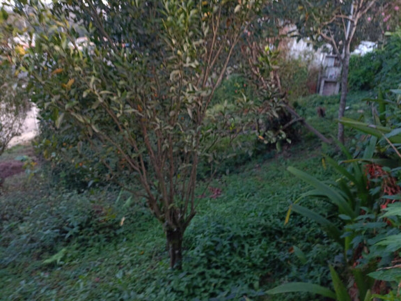 Imagem Terreno à Venda, 289 m² em Parelheiros - São Paulo Imagem Terreno à Venda, 289 m² em Parelheiros - São Paulo