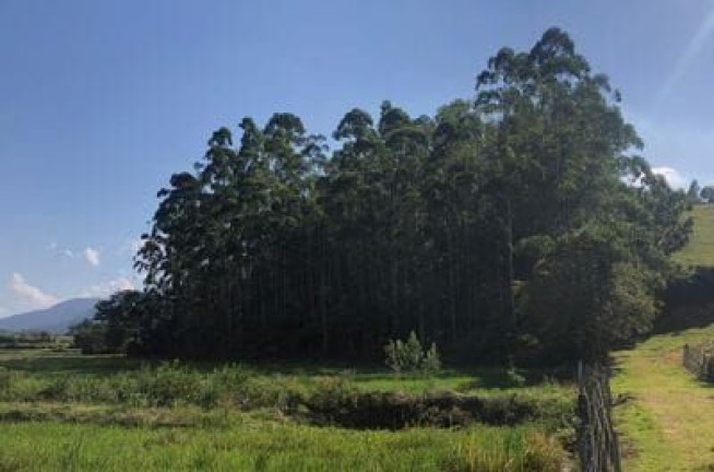 Imagem Fazenda à Venda, 20.000 m² em Pomeranos - Rio Dos Cedros Imagem Fazenda à Venda, 20.000 m² em Pomeranos - Rio Dos Cedros
