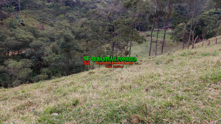 Imagem Chácara à Venda, 5.000 m² em São Francisco Xavier - São José Dos Campos Imagem Chácara à Venda, 5.000 m² em São Francisco Xavier - São José Dos Campos
