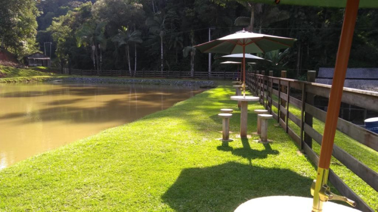 Imagem Fazenda à Venda, 900 m² em Vila Itoupava - Blumenau Imagem Fazenda à Venda, 900 m² em Vila Itoupava - Blumenau