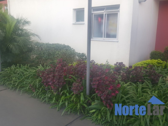 Imagem Apartamento com 2 Quartos à Venda, 52 m² em Nossa Senhora Do ó - São Paulo