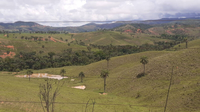 Imagem Fazenda à Venda, 1.950 m² em Centro - Córrego Danta Imagem Fazenda à Venda, 1.950 m² em Centro - Córrego Danta