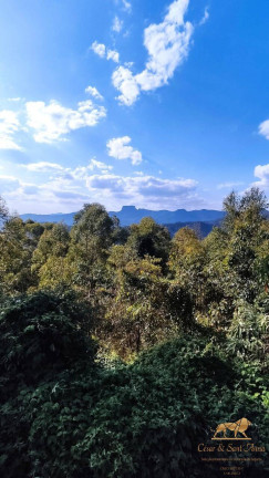 Terreno à Venda, 3.680 m² em Campos Do Jordão