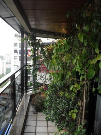 Imagem Apartamento com 4 Quartos à Venda, 260 m² em Jardim Ampliação - São Paulo