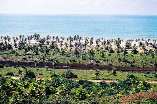 Imagem Terreno à Venda, 6.000.000 m² em Barra Do Itariri - Conde Imagem Terreno à Venda, 6.000.000 m² em Barra Do Itariri - Conde