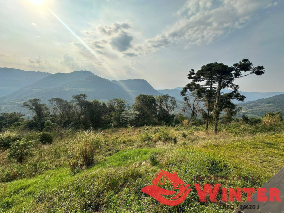 Imagem Chácara com 3 Quartos à Venda, 54.000 m² em Forqueta - Vale Real Imagem Chácara com 3 Quartos à Venda, 54.000 m² em Forqueta - Vale Real