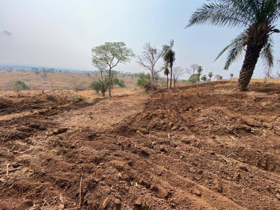 Imagem Fazenda à Venda, em Campinápolis Imagem Fazenda à Venda, em Campinápolis