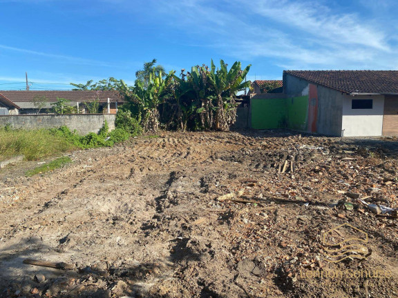 Imagem Terreno à Venda, 300 m² em Costeira - Balneário Barra Do Sul Imagem Terreno à Venda, 300 m² em Costeira - Balneário Barra Do Sul