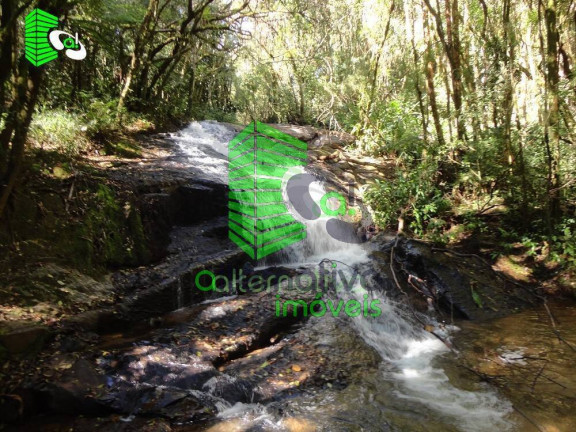 Imagem Fazenda à Venda, 31 m² em Pinhalzinho - Sto Antônio Do Pinhal - Santo Antônio Do Pinhal Imagem Fazenda à Venda, 31 m² em Pinhalzinho - Sto Antônio Do Pinhal - Santo Antônio Do Pinhal