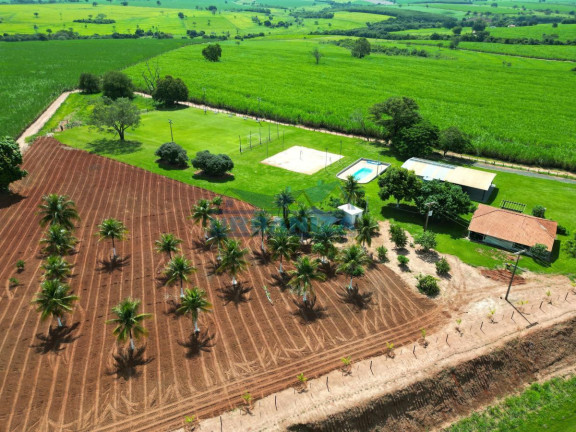 Imagem Chácara à Venda, 20.000 m² em Buritama - Buritama Imagem Chácara à Venda, 20.000 m² em Buritama - Buritama
