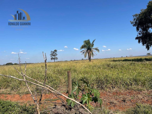 Imagem Fazenda à Venda, 12.490.000 m² em Vila Maria - Santa Fé Do Sul Imagem Fazenda à Venda, 12.490.000 m² em Vila Maria - Santa Fé Do Sul
