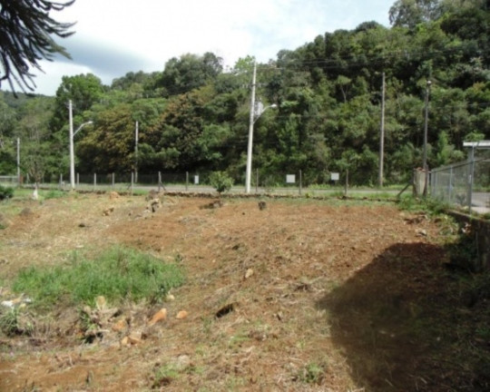 Terreno à Venda, 875 m² em Varzea Grande - Gramado