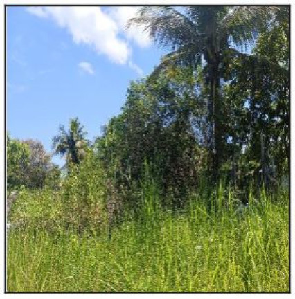 Imagem Terreno à Venda, 1.000 m² em Recanto Dos Magalhaes (cabucu) - Itaborai