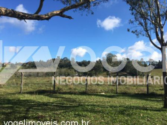 Imagem Imóvel à Venda, 20.000 m² em Bairro Não Informado - Viamao Imagem Imóvel à Venda, 20.000 m² em Bairro Não Informado - Viamao