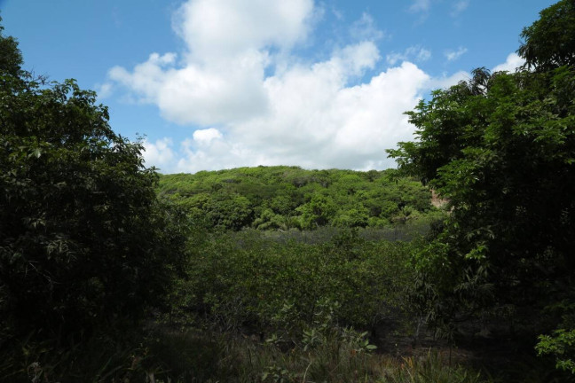 Terreno à Venda, 19 m² em Barra Do Cunhaú - Canguaretama