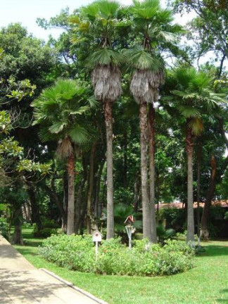 Imagem Casa com 5 Quartos à Venda, 4.300 m² em Interlagos - São Paulo