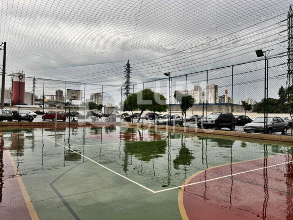 Imagem Apartamento com 2 Quartos para Alugar, 45 m² em Ponte Grande - Guarulhos Imagem Apartamento com 2 Quartos para Alugar, 45 m² em Ponte Grande - Guarulhos