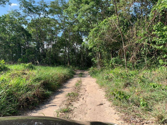 Imagem Fazenda à Venda, 22 m² em Zona Rural - Palmeiras De Goiás Imagem Fazenda à Venda, 22 m² em Zona Rural - Palmeiras De Goiás