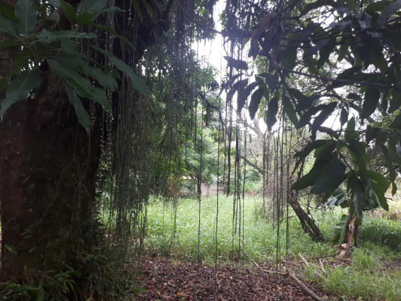 Imagem Terreno à Venda, 1.366 m² em Santana - Pindamonhangaba