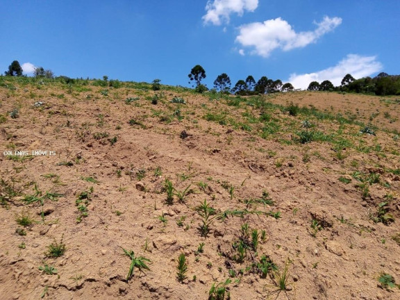 Terreno à Venda,  em Depois Do Centro - Ibiúna
