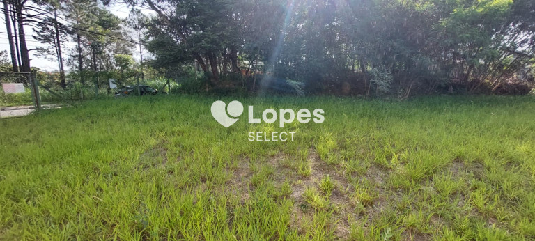 Imagem Terreno à Venda, 1.000 m² em Vila Omízollo - Louveira