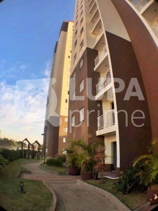 Imagem Apartamento com 3 Quartos à Venda, 64 m² em Vila Guilherme - São Paulo