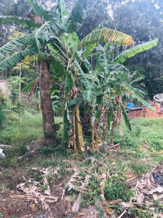 Imagem Terreno à Venda, 624 m² em Barequeçaba - São Sebastião Imagem Terreno à Venda, 624 m² em Barequeçaba - São Sebastião