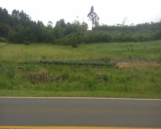 Imagem Imóvel à Venda, 19.451 m² em Linha Araripe - Nova Petrópolis