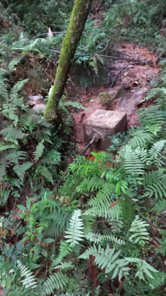 Imagem Chácara com 3 Quartos à Venda, 11 m² em Olaria - Bocaiúva Do Sul