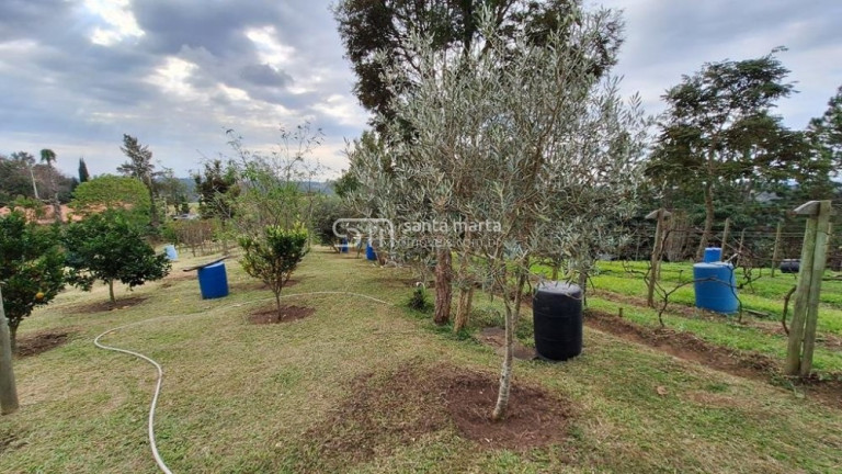 Imagem Imóvel à Venda, 29 m² em Barra Do Bié - Cunha Imagem Imóvel à Venda, 29 m² em Barra Do Bié - Cunha