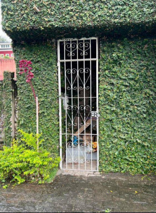 Imagem Sobrado com 3 Quartos à Venda, 400 m² em City América - São Paulo Imagem Sobrado com 3 Quartos à Venda, 400 m² em City América - São Paulo
