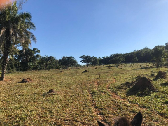 Imagem Fazenda à Venda, 229.899 m² em Centro - Córrego Do Ouro Imagem Fazenda à Venda, 229.899 m² em Centro - Córrego Do Ouro