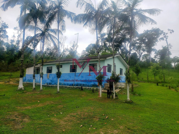 Imagem Chácara com 3 Quartos à Venda, 8.000 m² em Alexandra - Paranaguá