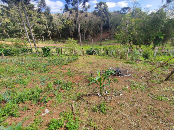Imagem Chácara à Venda, 1.200 m² em Zona Rural - Tijucas Do Sul Imagem Chácara à Venda, 1.200 m² em Zona Rural - Tijucas Do Sul