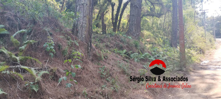 Terreno à Venda, 1 m² em Campos Do Jordão