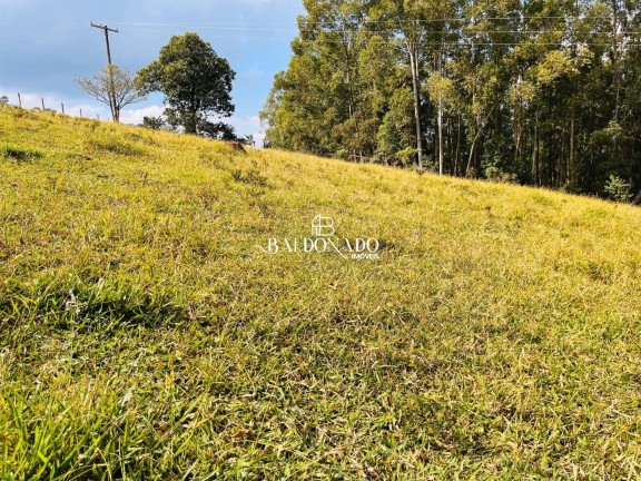 Imagem Terreno à Venda, 8.000 m² em Centro - Toledo Imagem Terreno à Venda, 8.000 m² em Centro - Toledo