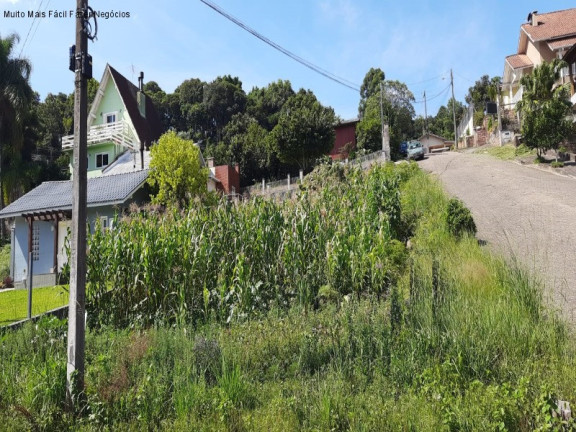 Terreno à Venda, 420 m² em Logradouro - Nova Petrópolis