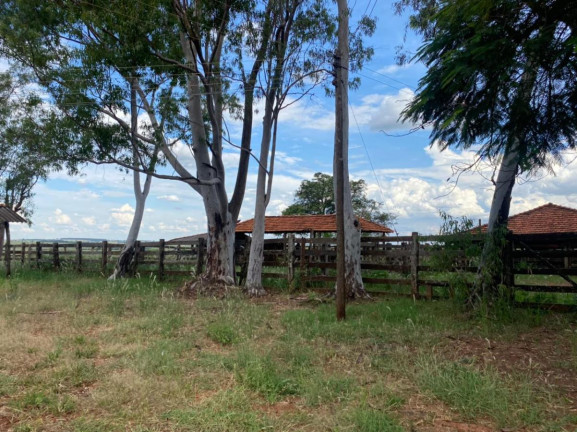 Imagem Fazenda à Venda, 532 m² em Rural - Jales Imagem Fazenda à Venda, 532 m² em Rural - Jales