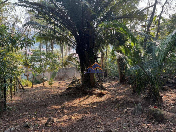 Imagem Terreno à Venda, 420 m² em Pontal (cunhambebe) - Angra Dos Reis